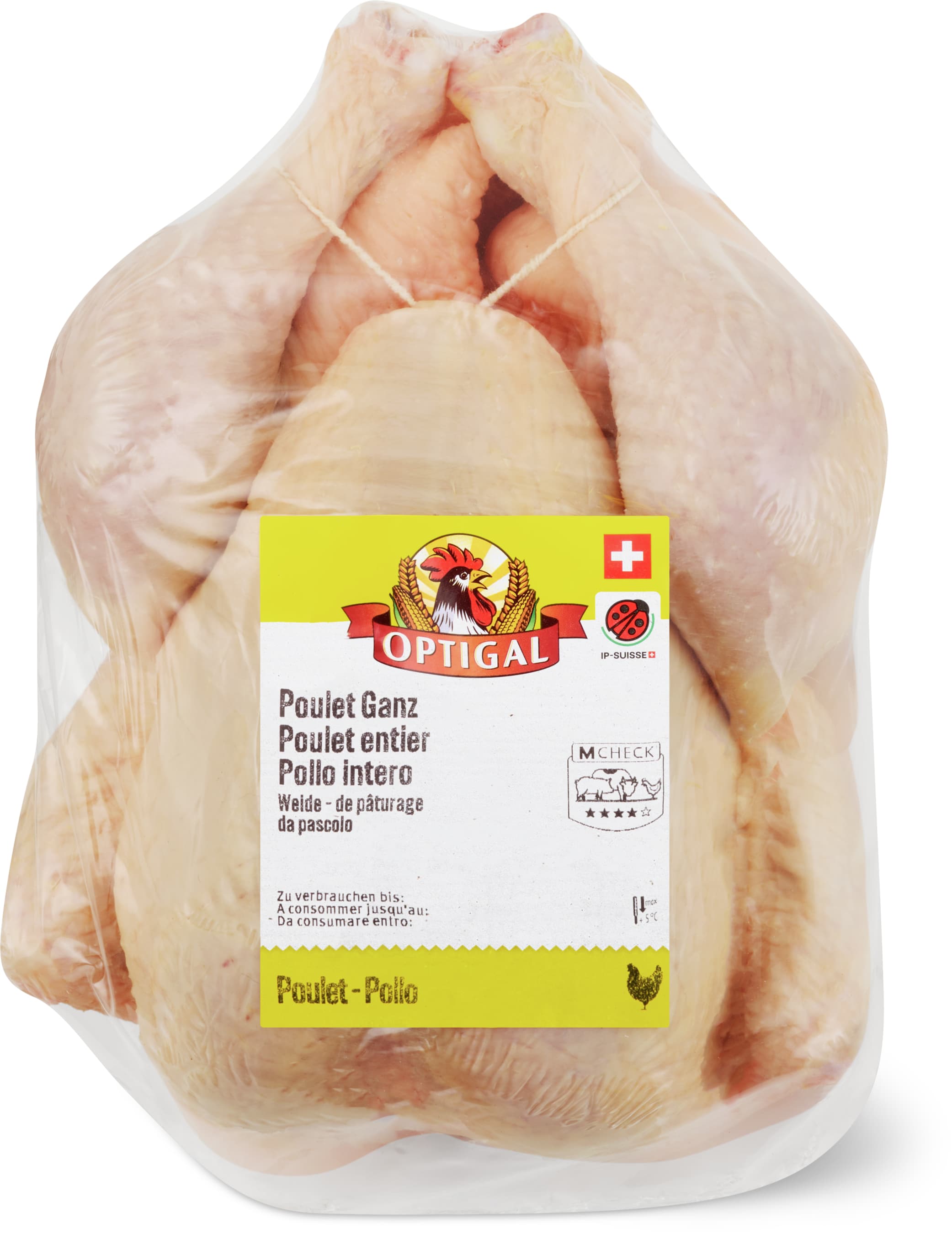 Pollo IP-SUISSE, intero